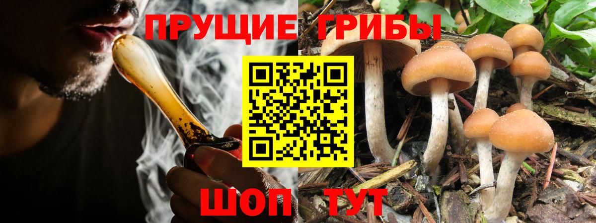 Галлюциногенные грибы прущие грибы  Вход с VPN  Химки 