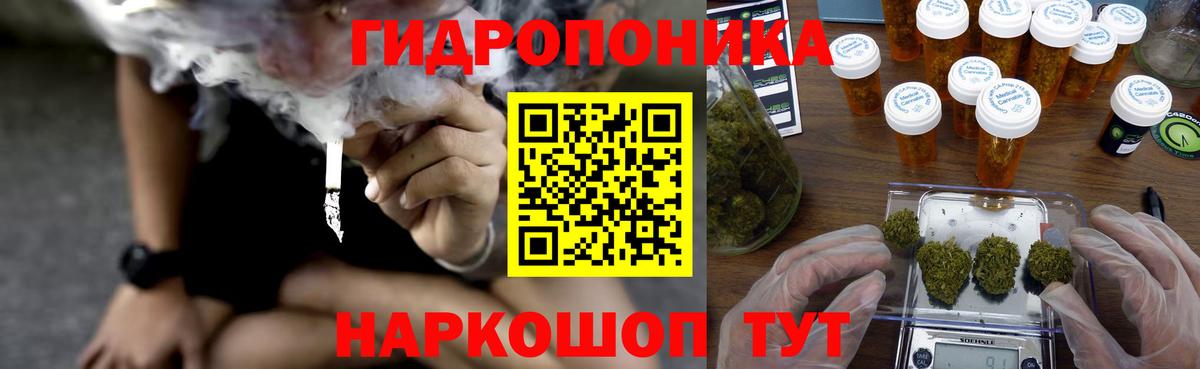 Конопля гибрид Химки